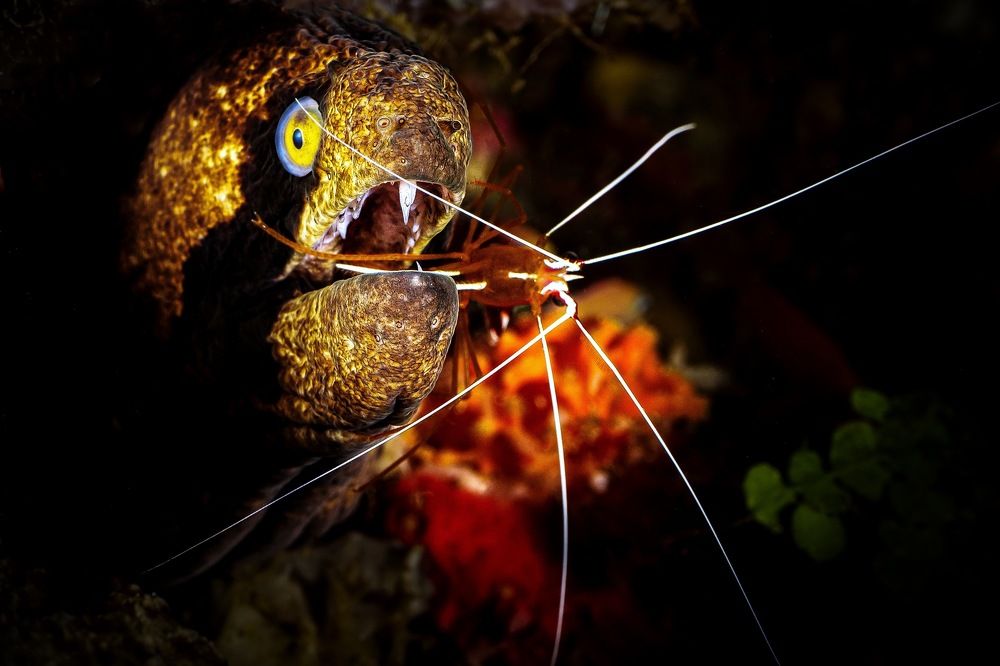 Photograph by Serge Melesan