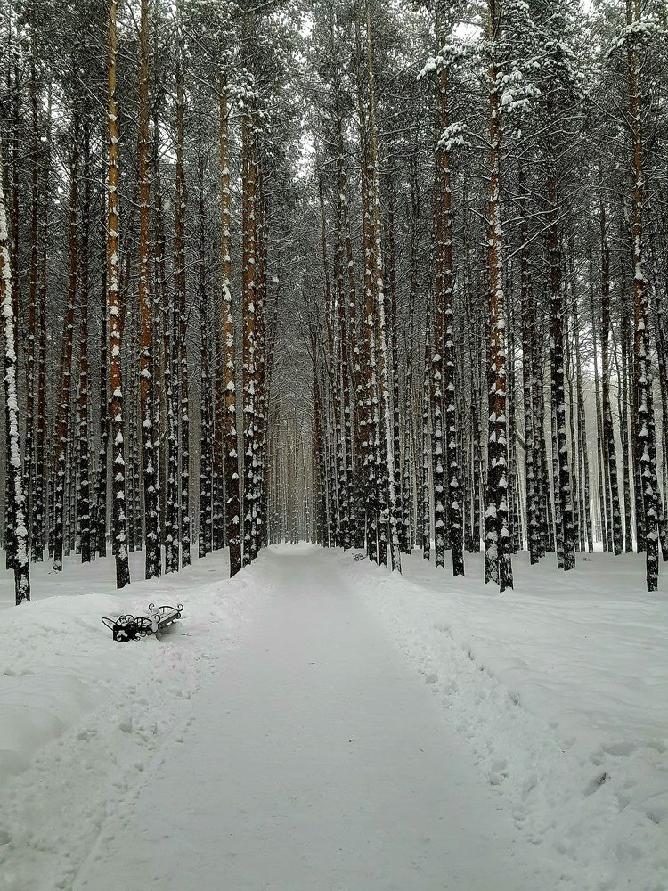 МОБИЛЬНОЕ ФОТО..