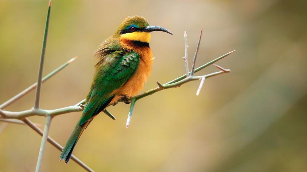 Photograph by Khazov Artem