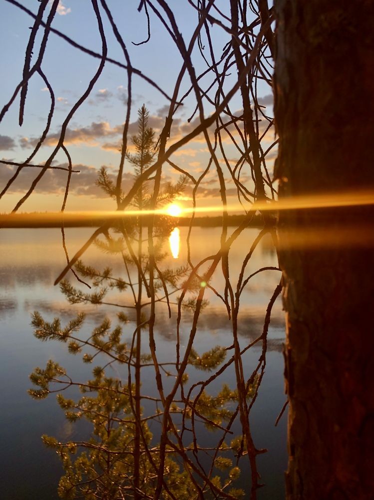 Photograph by Олеся Семенова