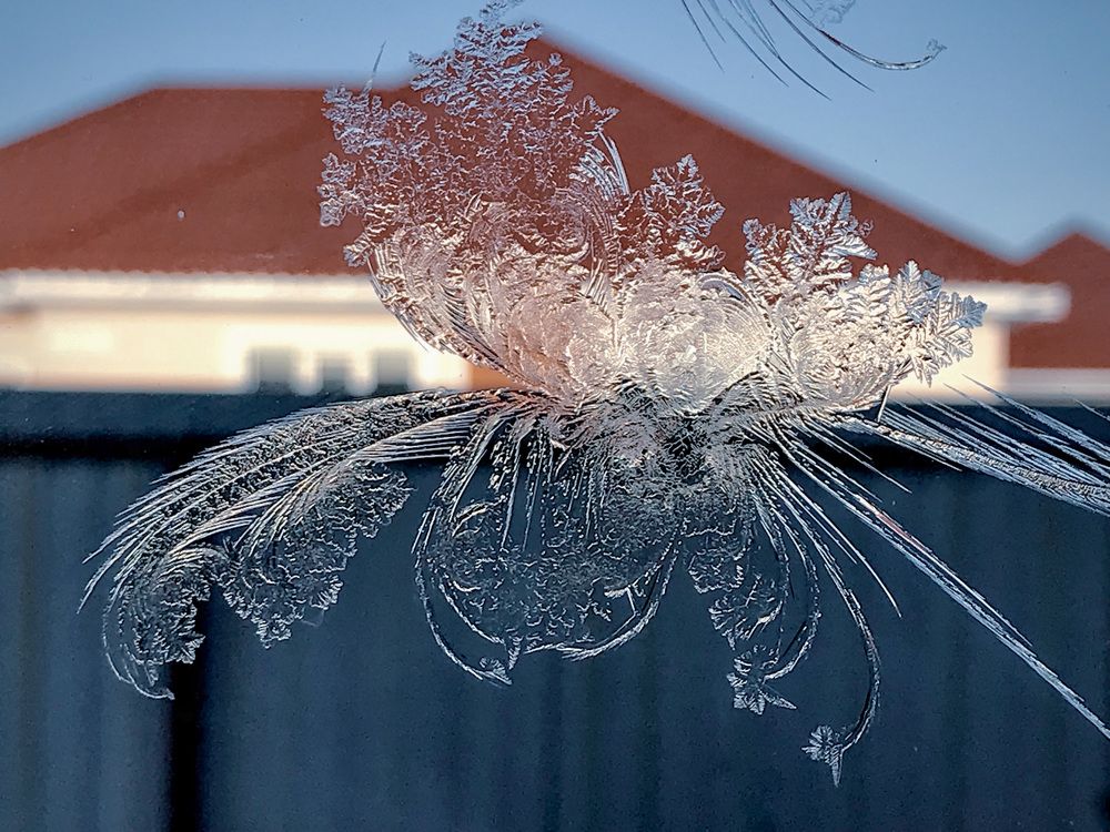 Морозная бабочка