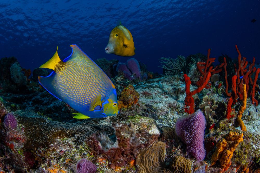 Photograph by Carlos Eduardo Barreto Pinheiro