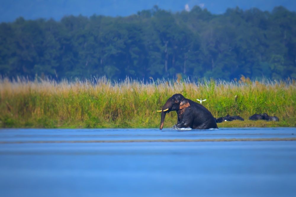 Photograph by Mayukh Deb