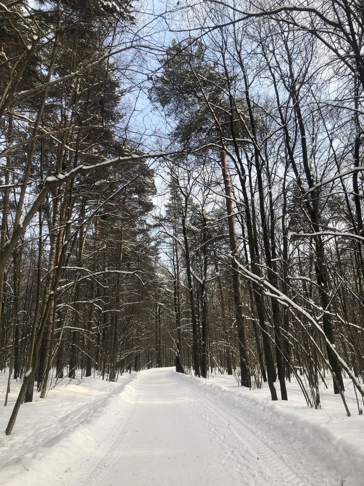 Photograph by Яна Цицилашвили