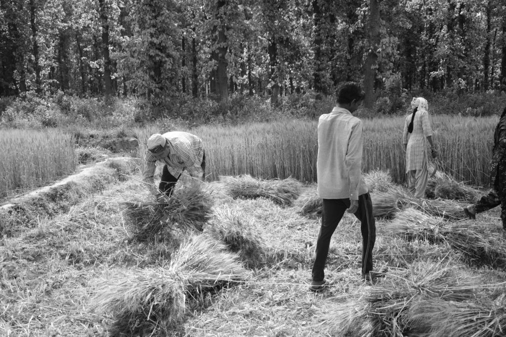 Photograph by Shashank Sinha