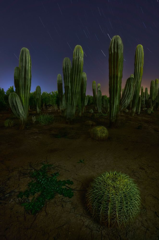 Photograph by Jorge Ciscar