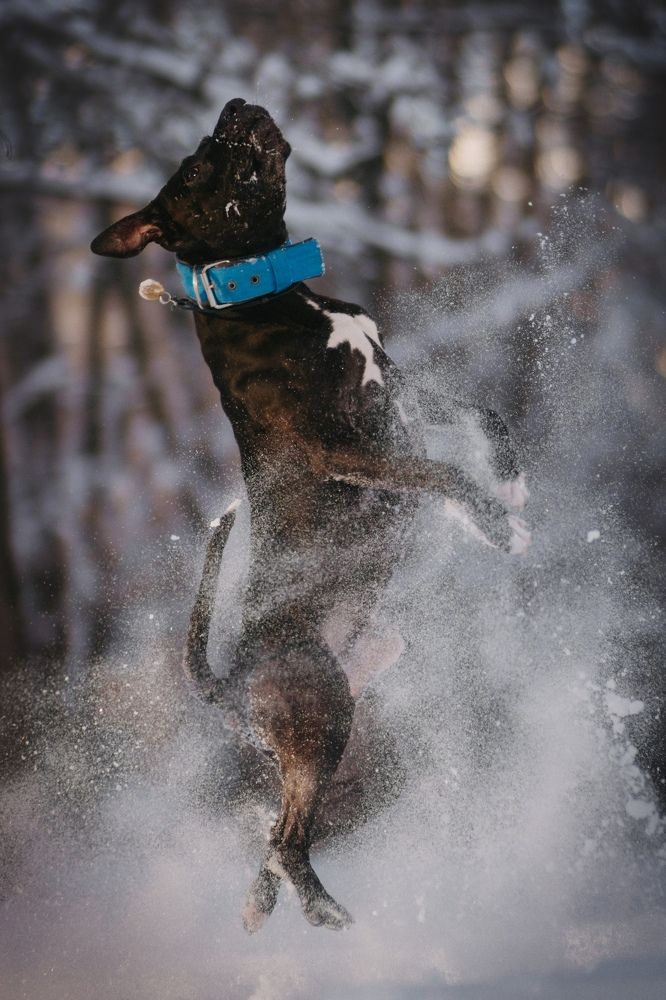 Photograph by Ангелина Ледовская