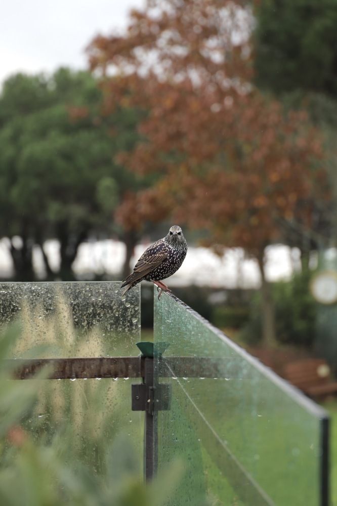 Фотография автора Sadaf