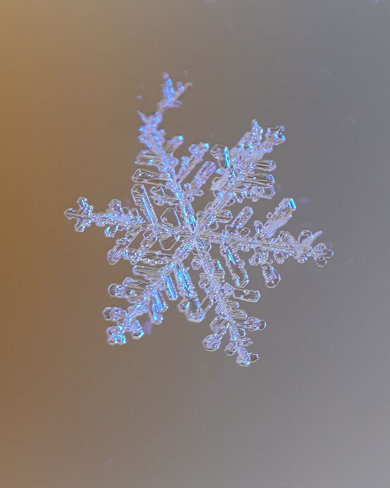 Photograph by Высотских Владимир