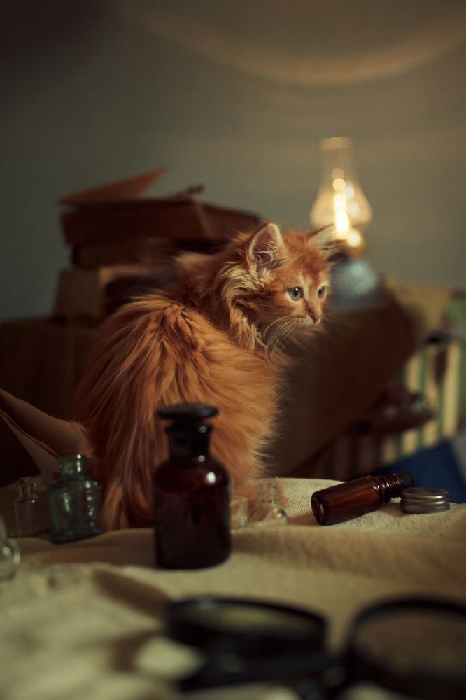 Photograph by Татьяна Скородумова