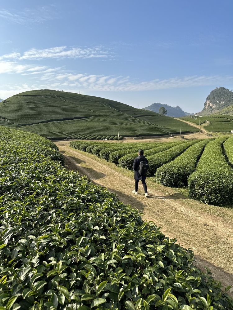 Photograph by Hoai Anh Dang