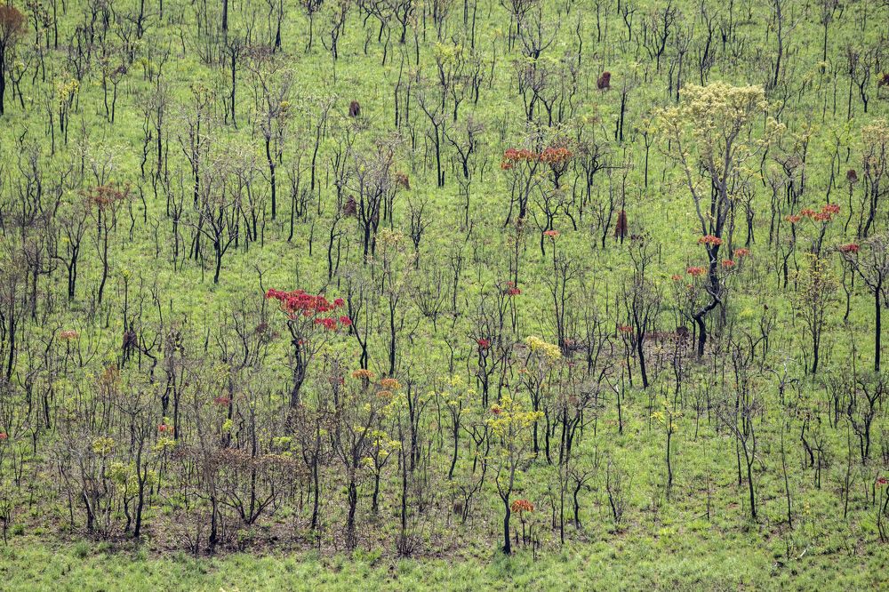 Photograph by Vinícius Souza