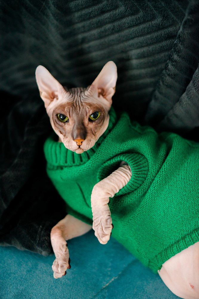 Photograph by Ольга Педан