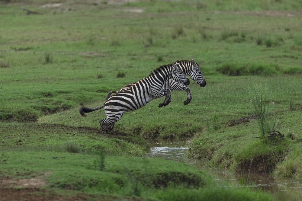 Photograph by Rajeeb Bharali