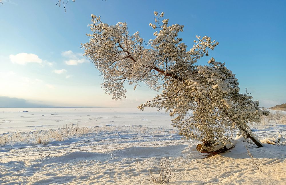 Photograph by Olga Smirnova