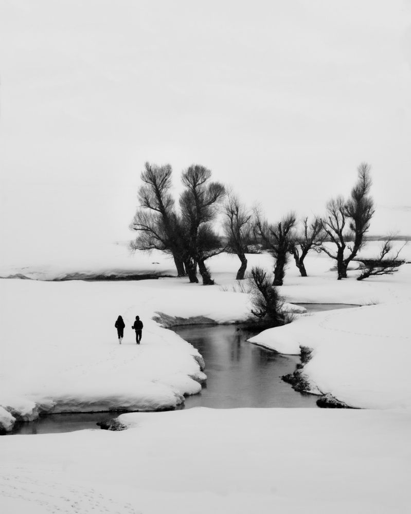 Photograph by mohammad Alipour