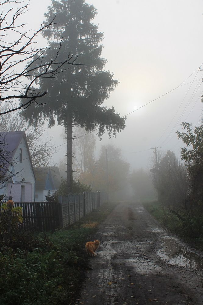 Фотография автора Алла Черноморская