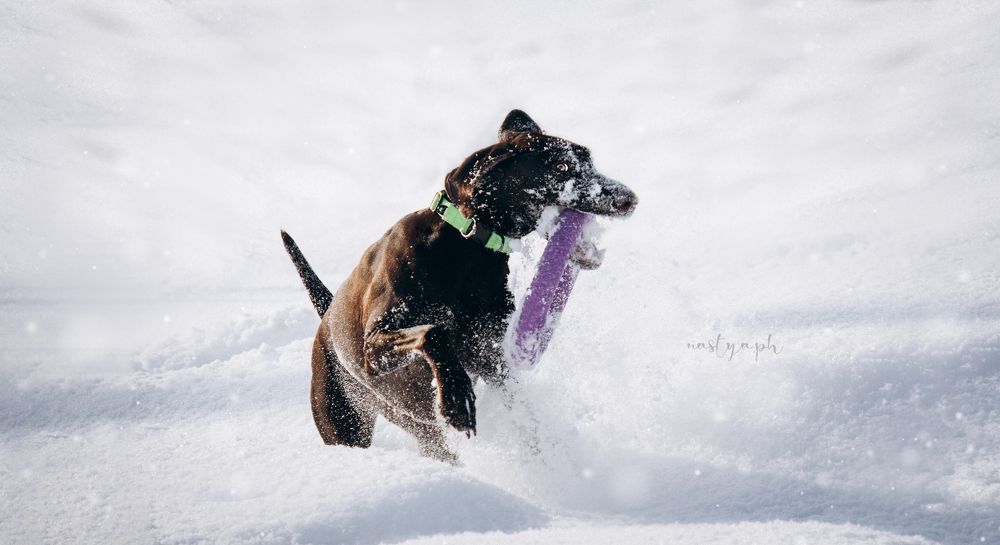 Фотография автора Настя