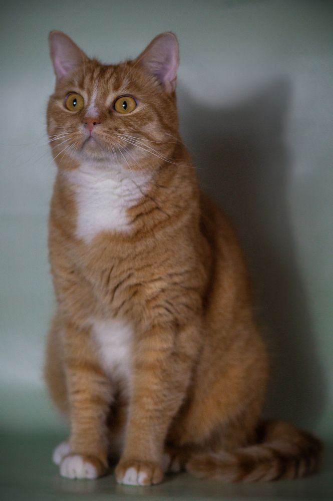 Photograph by Ангелина Ледовская