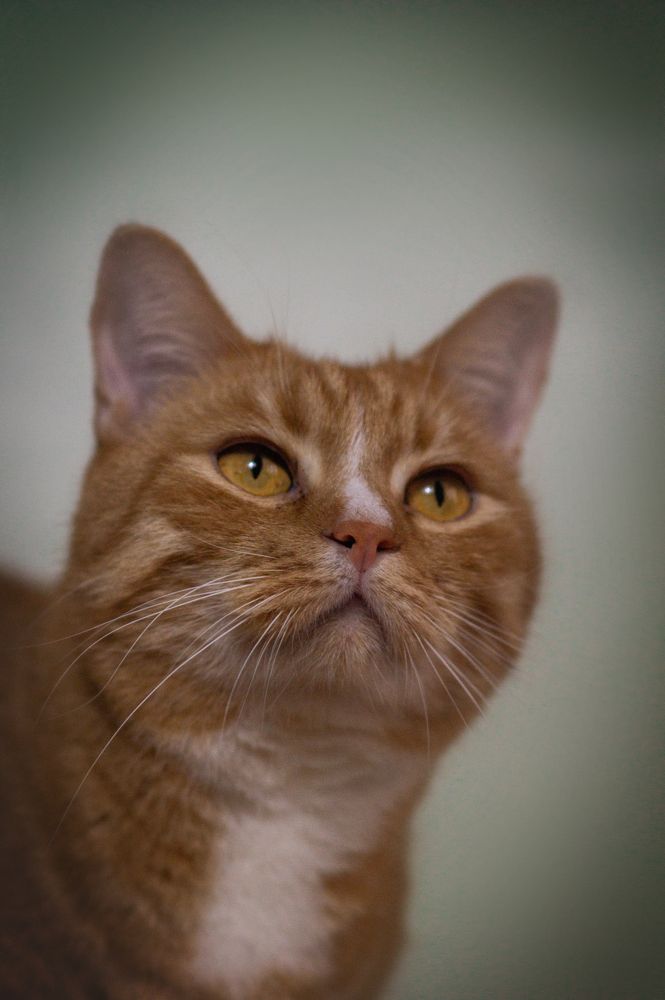 Photograph by Ангелина Ледовская