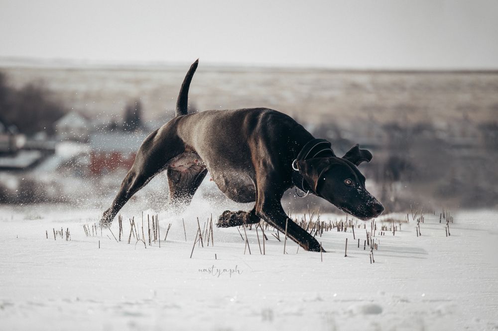 Фотография автора Настя