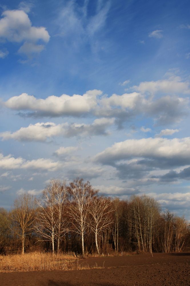 Фотография автора Алла Черноморская