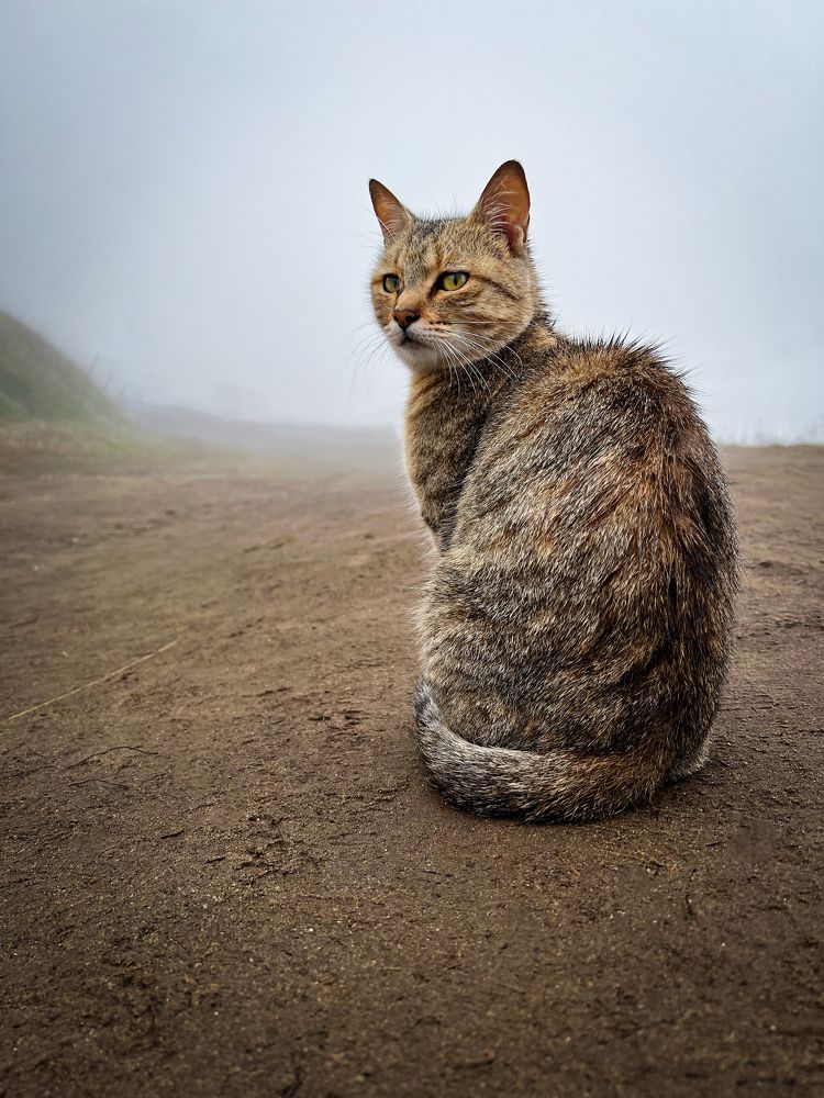 Photograph by Дамир Давронов