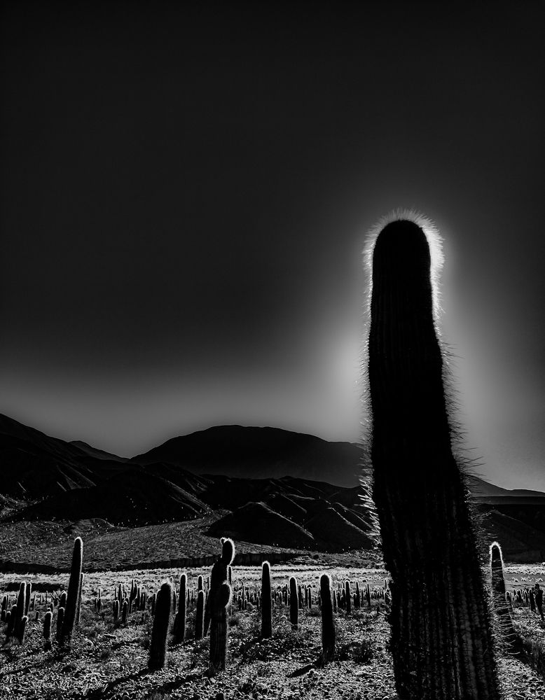 Photograph by José Luis Godoy