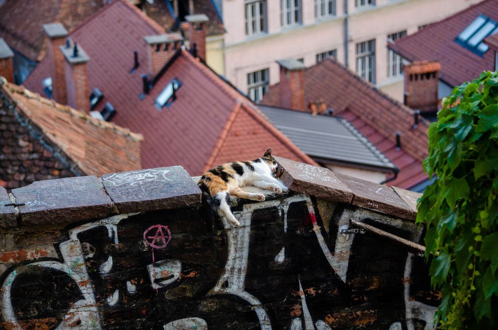 Photograph by Смирнов Олег