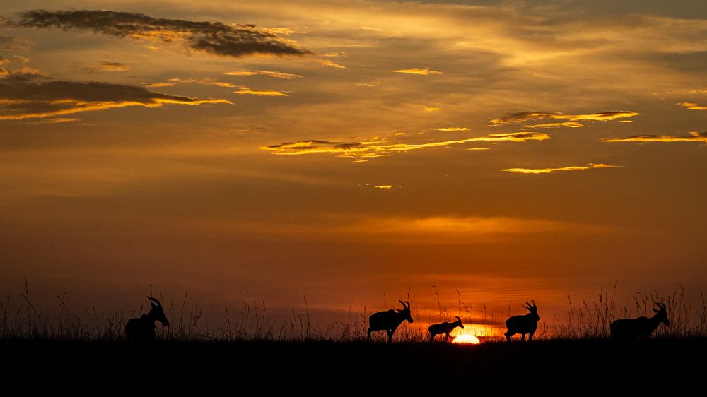 Photograph by Sunil Dhar