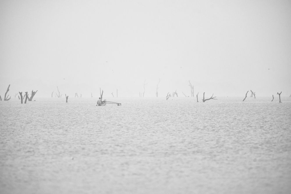 Fisherman in the Lake