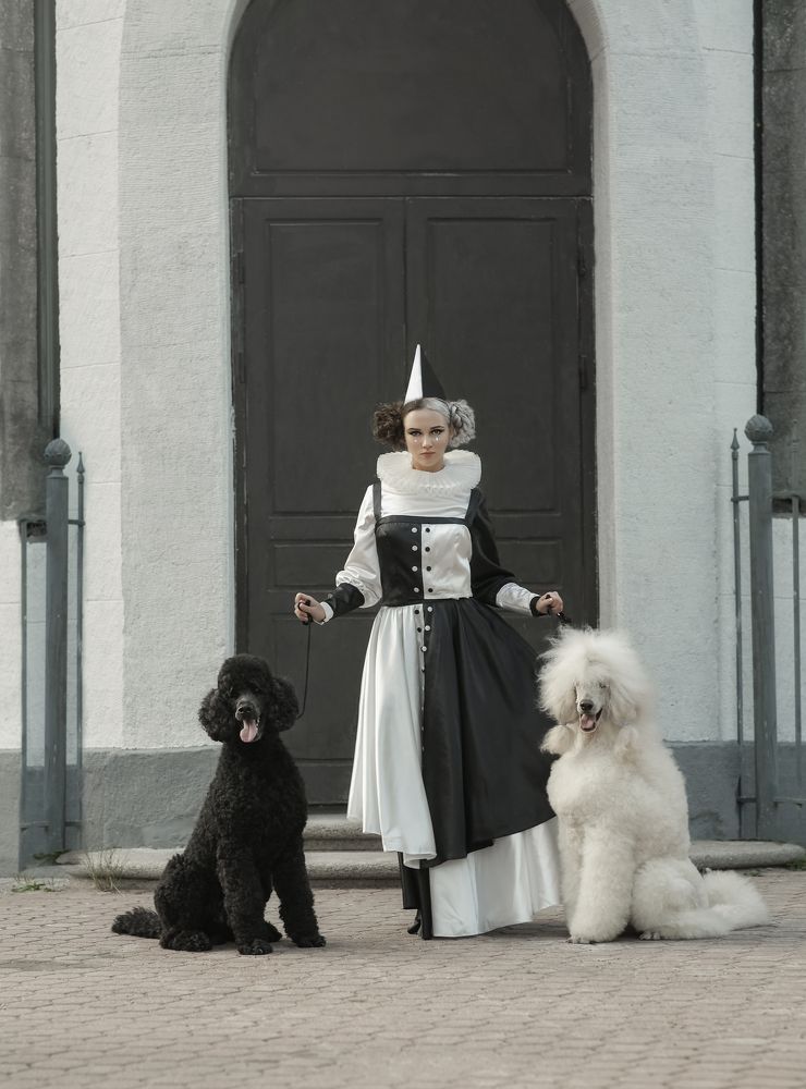 Фотография автора Ольга Клипина