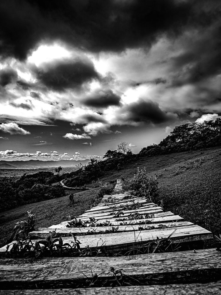 Photograph by José Luis Godoy