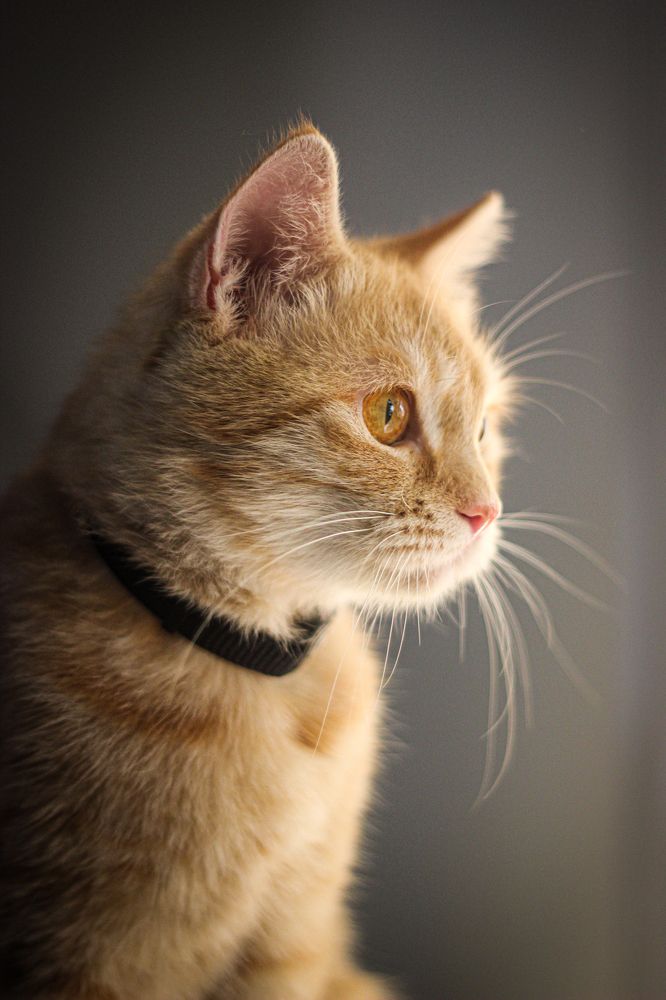 Photograph by Sanja Ristivojevic