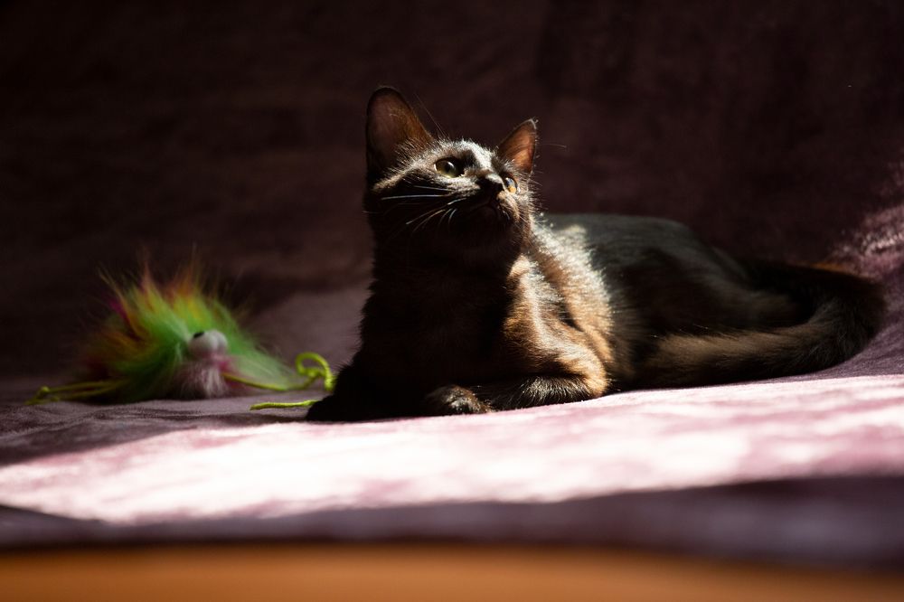 Photograph by Sanja Ristivojevic