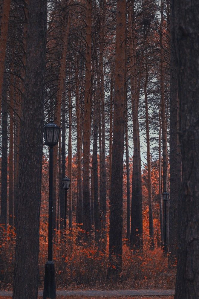 Photograph by Янтарная Елена