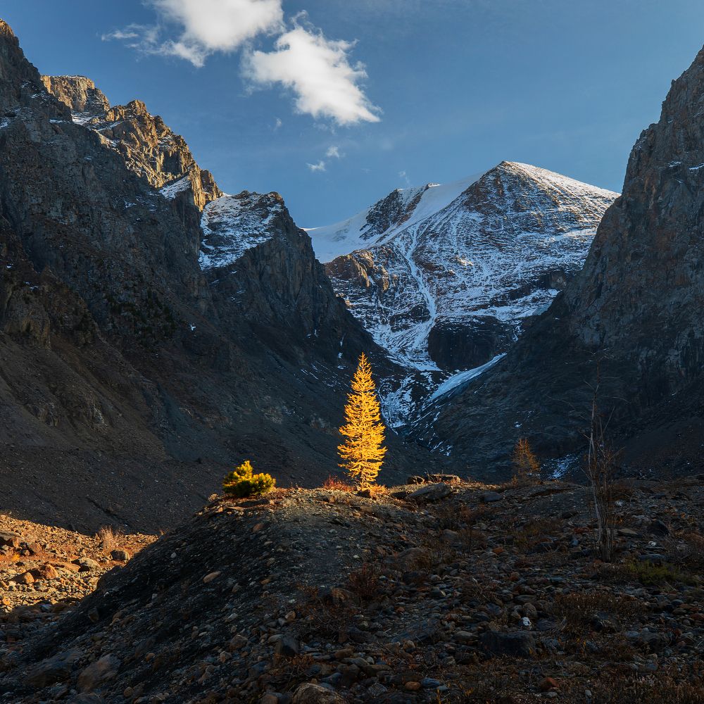 Photograph by Виктор Зайцев