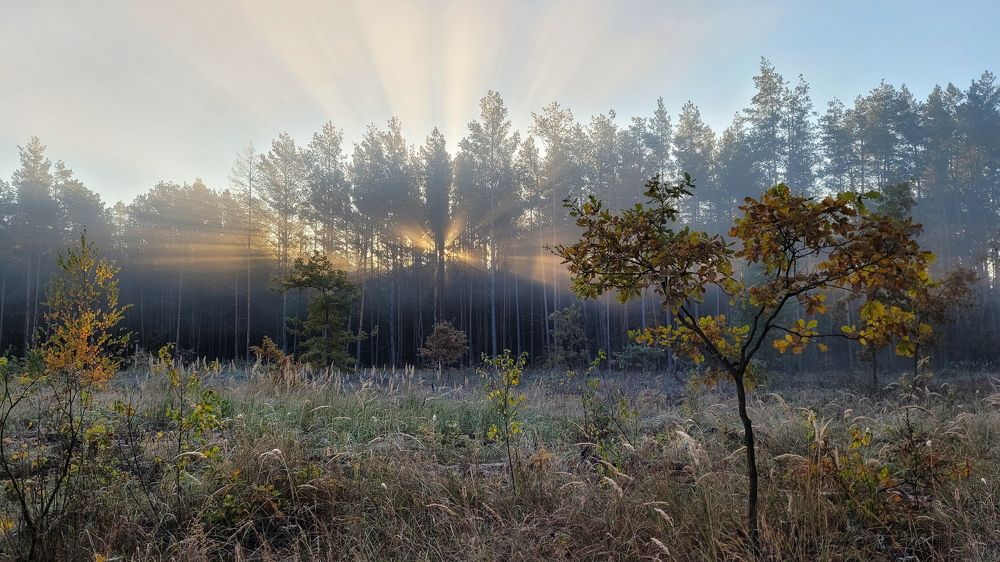 Photograph by Шляга Сергей