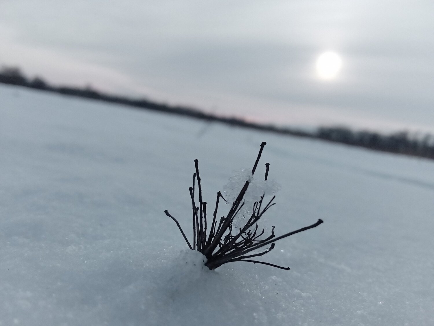 Photo #8898933