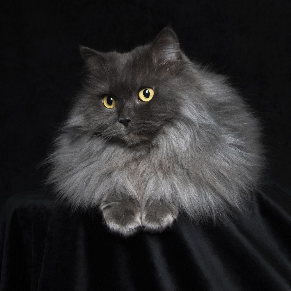 Photograph by Елена Ветрова