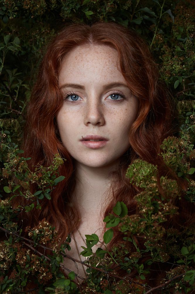 Фотография автора Ivan Kushakov