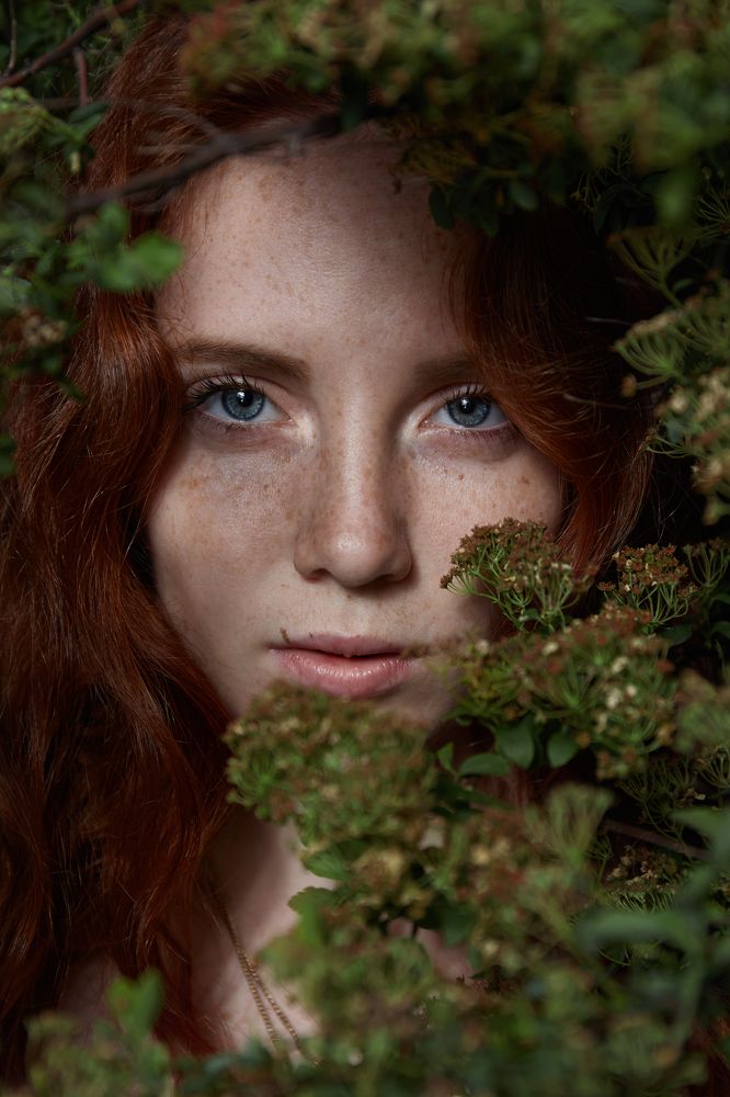 Фотография автора Ivan Kushakov