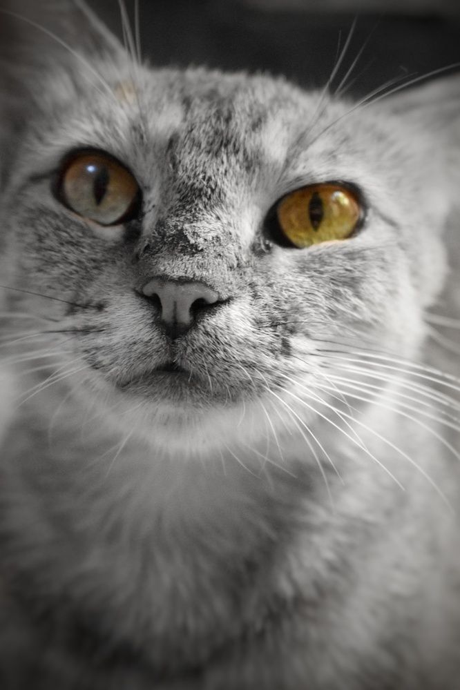 Photograph by Mustafa yuoseef