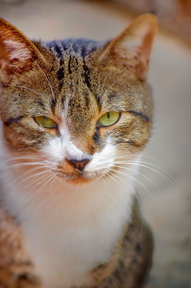 Photograph by Mustafa yuoseef