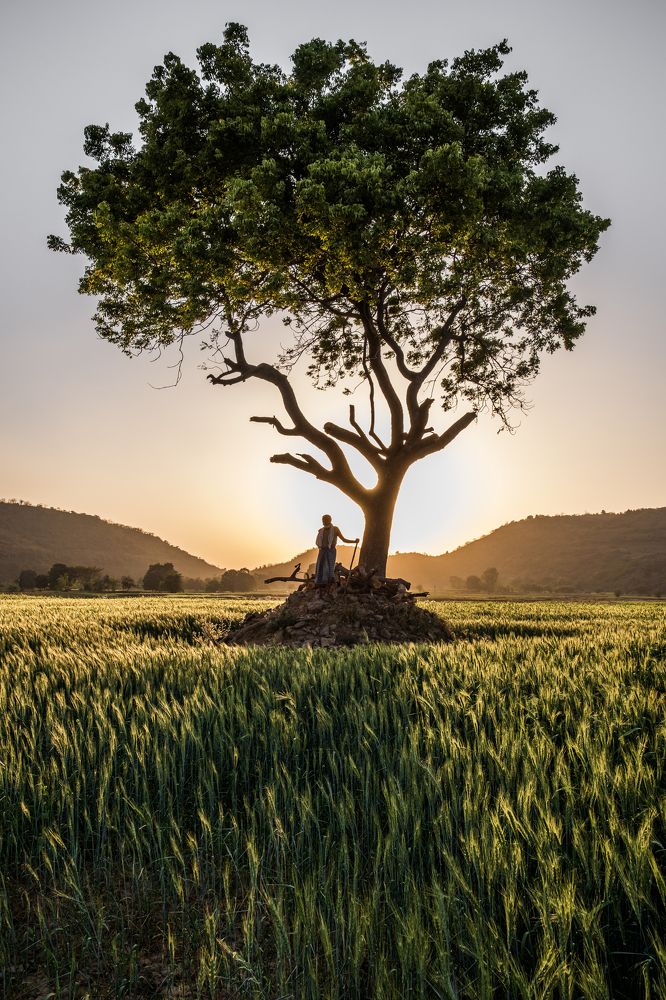 Photograph by Sayed Wasi Haider