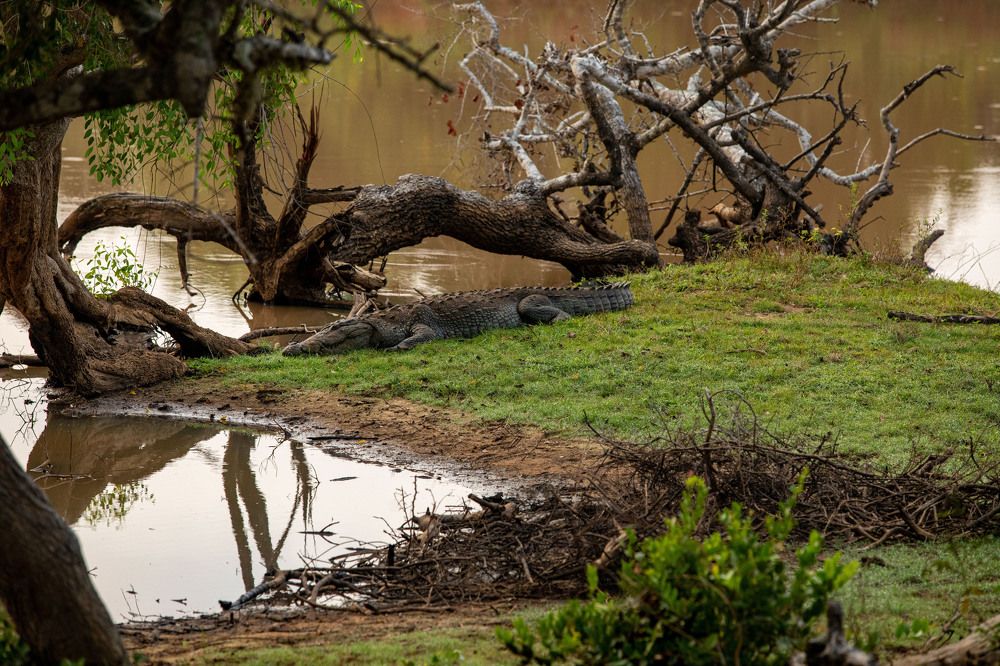Photograph by Яна Полосина