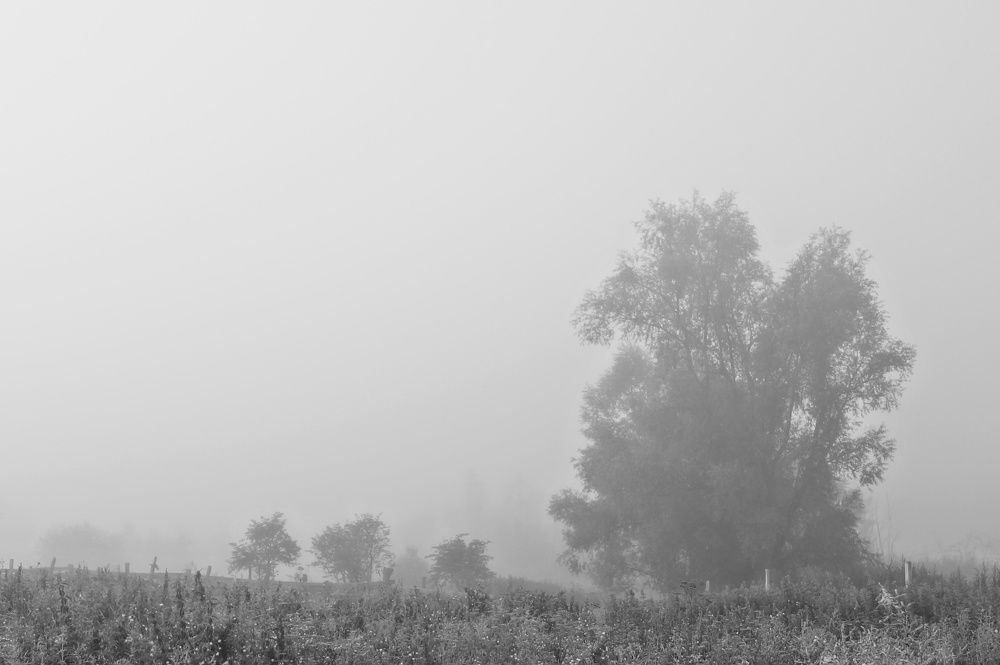 Photograph by Маргарита