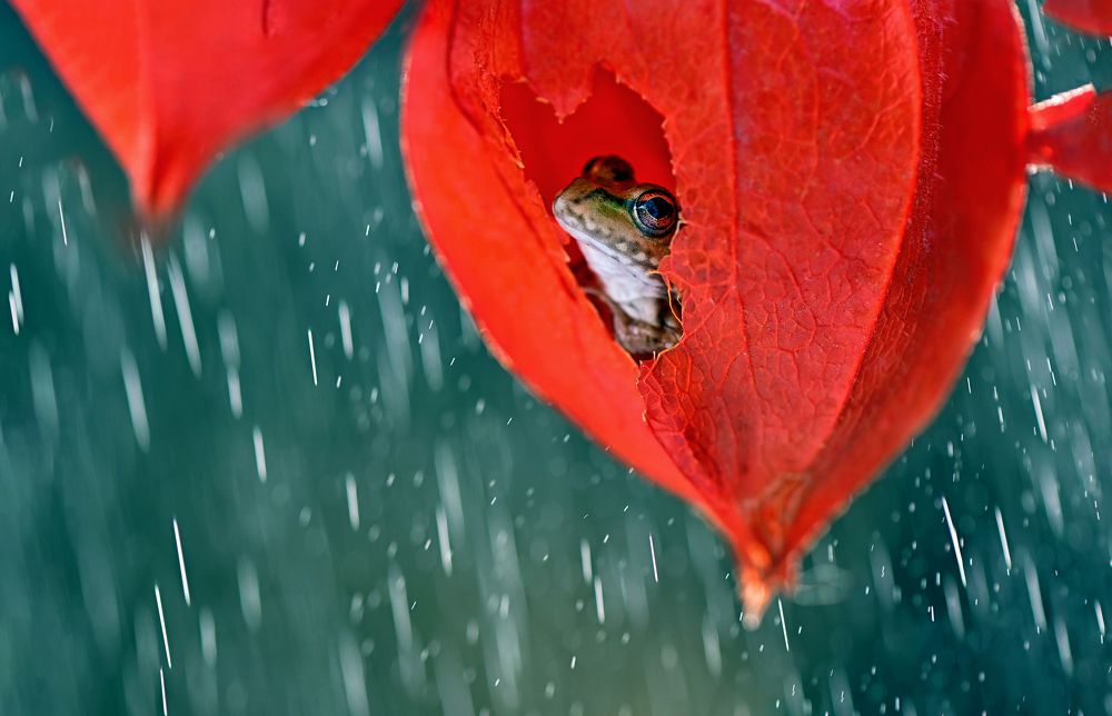 Photograph by Чернобай Анна