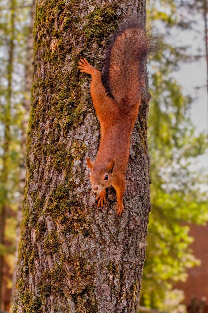 Photograph by Камилла Давлетшина