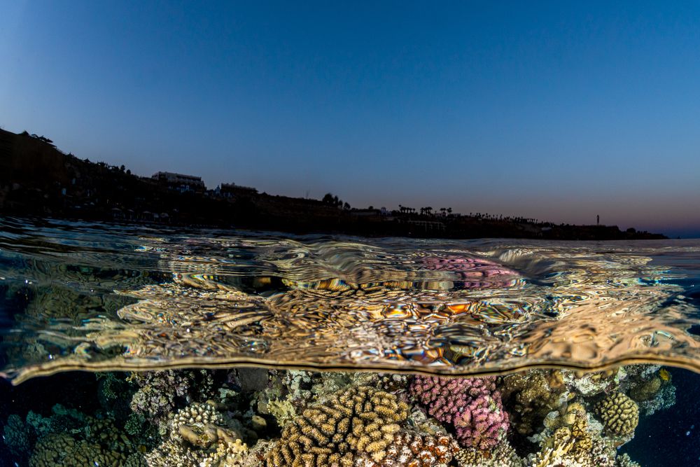 Photograph by Nadya Kulagina